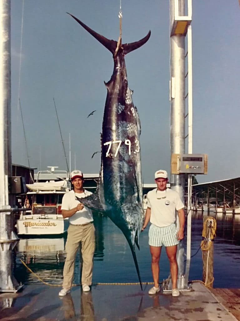 world record blue marlin