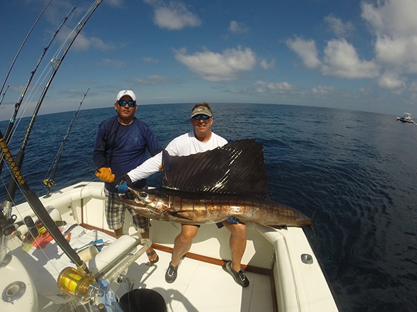 Pacific sailfish west palm beach fishing club