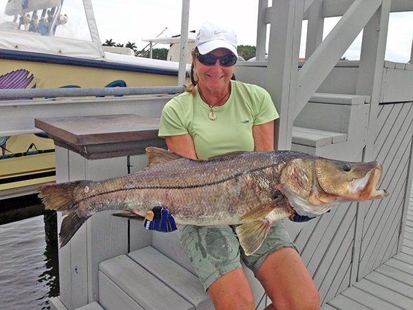 snook fishing photo west palm beach fishing club