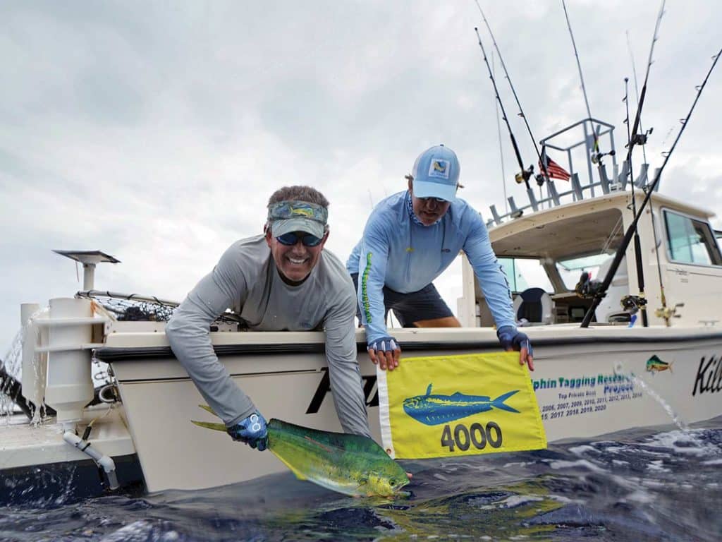 Two anglers holding a dolphinfish out of the water.