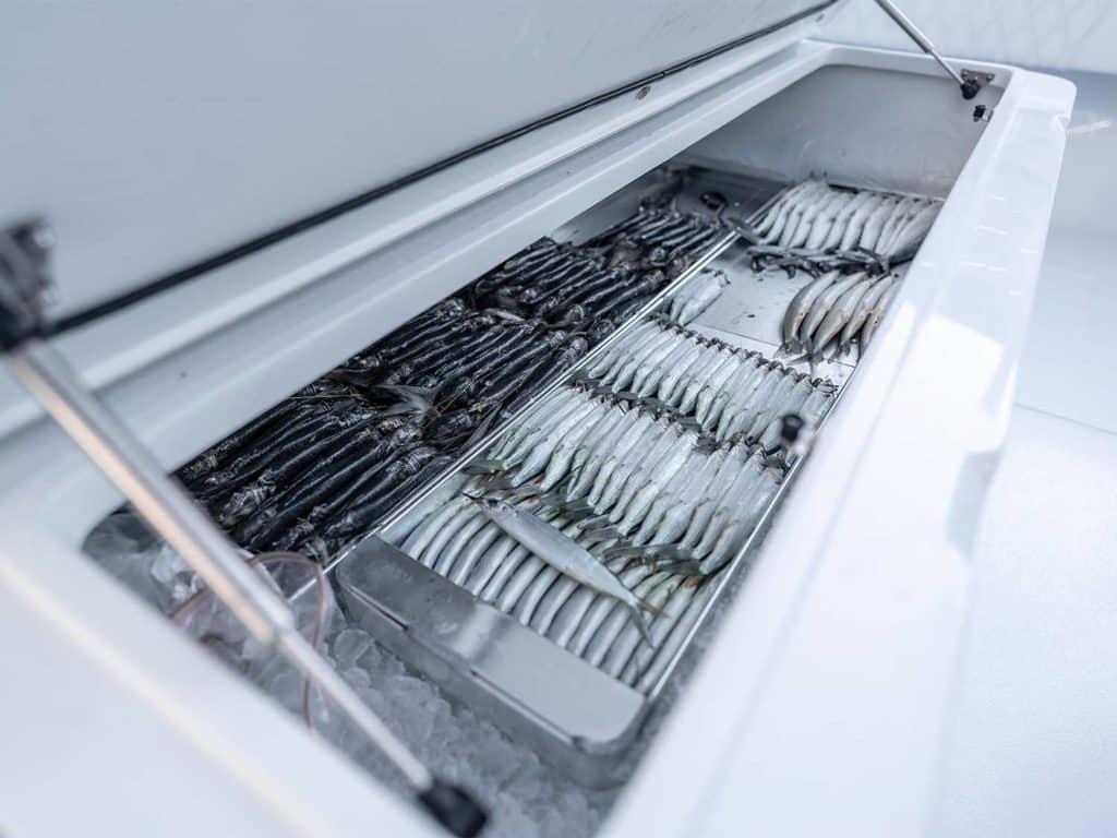 A built-in bait freezer storage in a boat.
