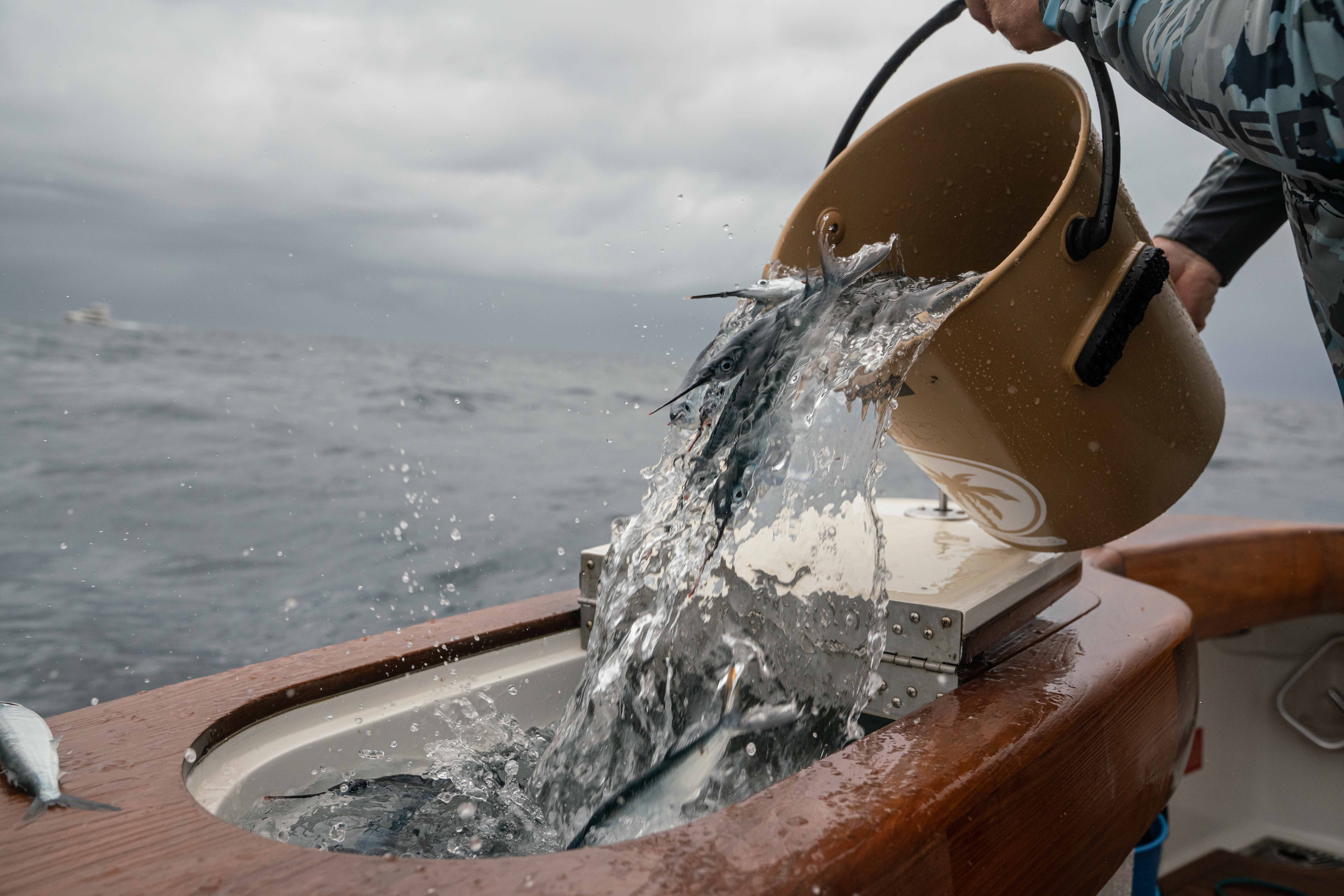 The Best Buckets for Offshore Fishing