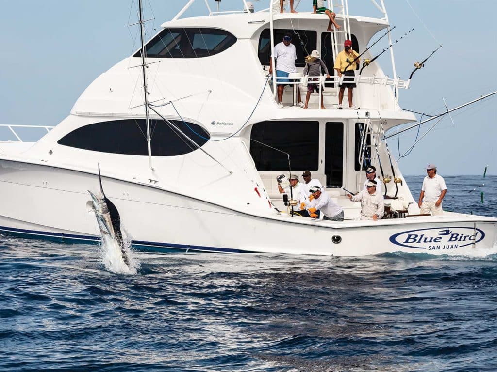 A group of anglers on a sport-fishing boat.