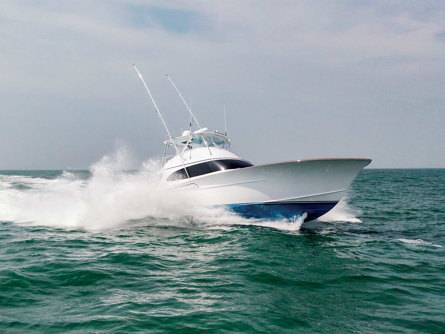 Billfisher’s MidAtlantic State Record Blue Marlin Marlin