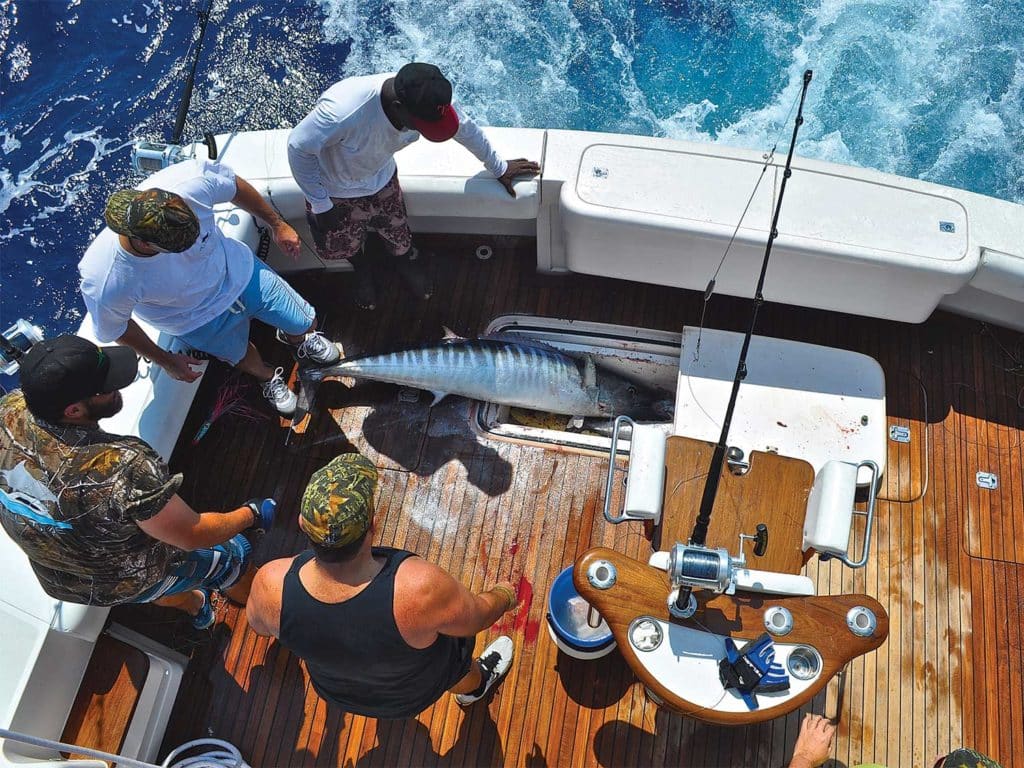 A group of sport-fishing anglers standing around a large wahoo.