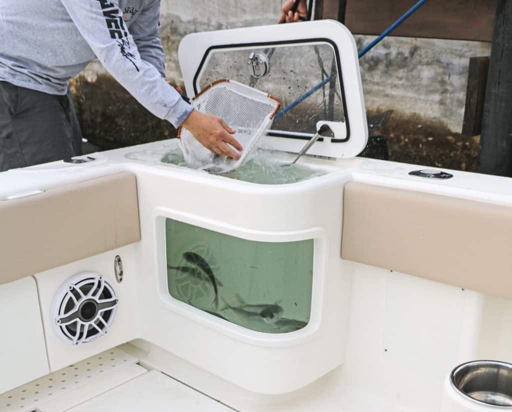 A fisher filling a sport-fishing livewell on a boat.