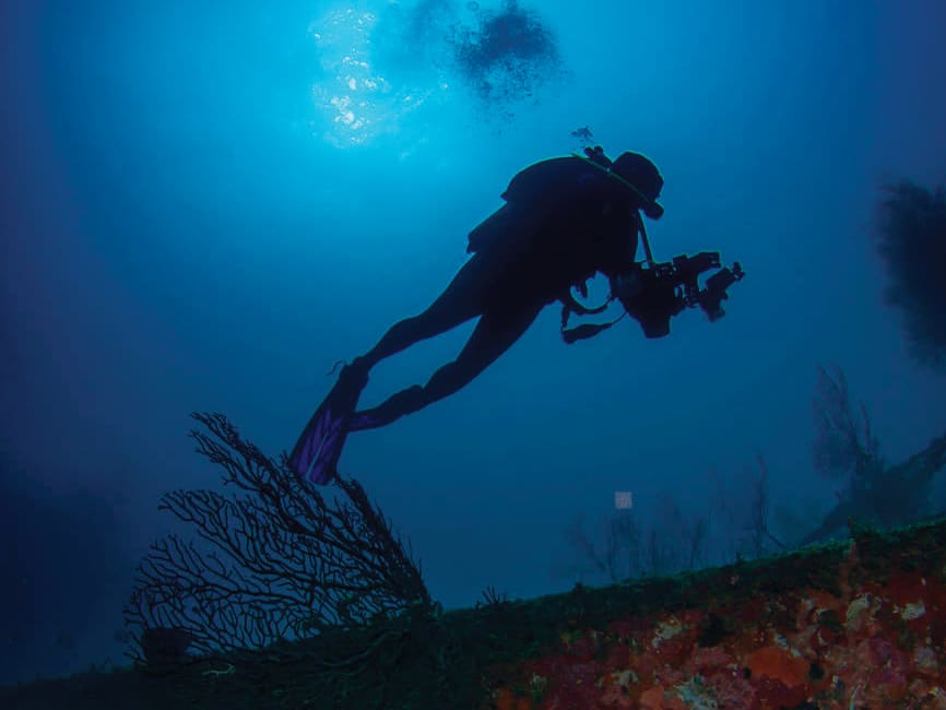 A person scuba diving near a reef in Grenada.