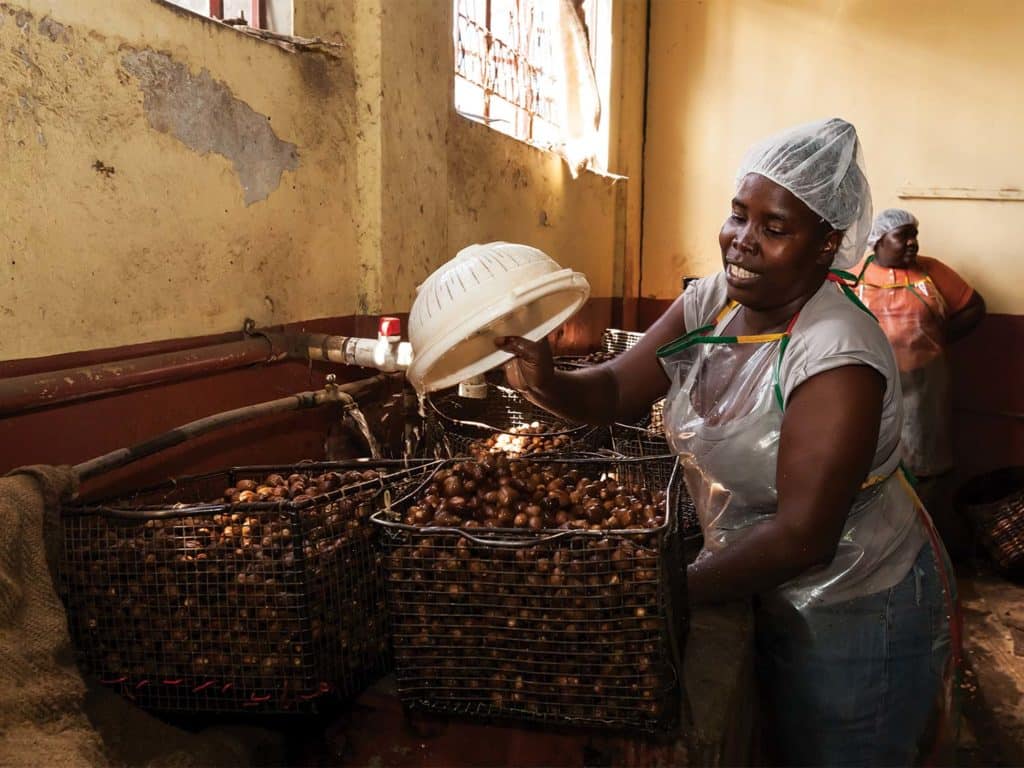 A woman prepares nutmeg for processing.