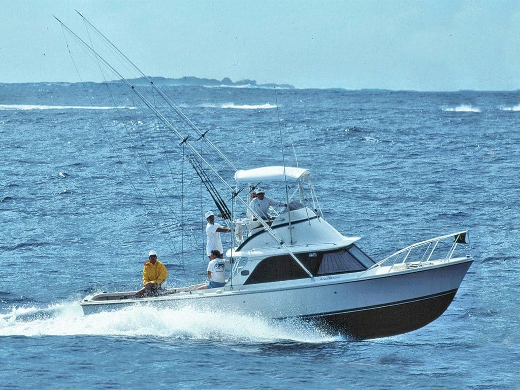 A small sport-fishing boat on the water.