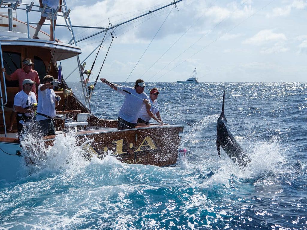 A crew reeling in a large marlin.