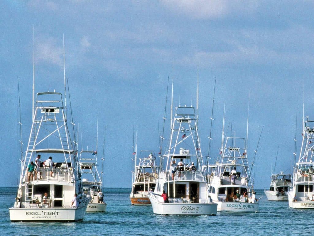 A fleet of sport-fishing boats on the water.