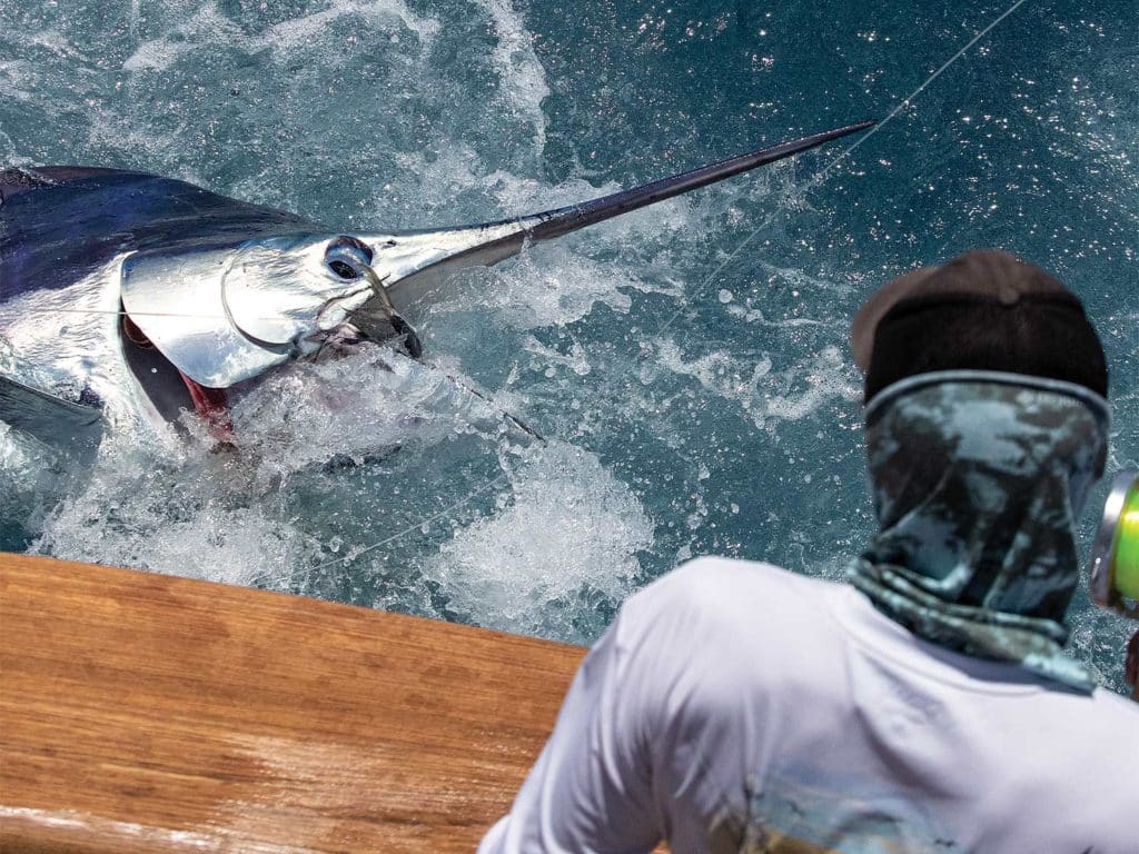 A crewmate looks at a marlin pulled boatside.
