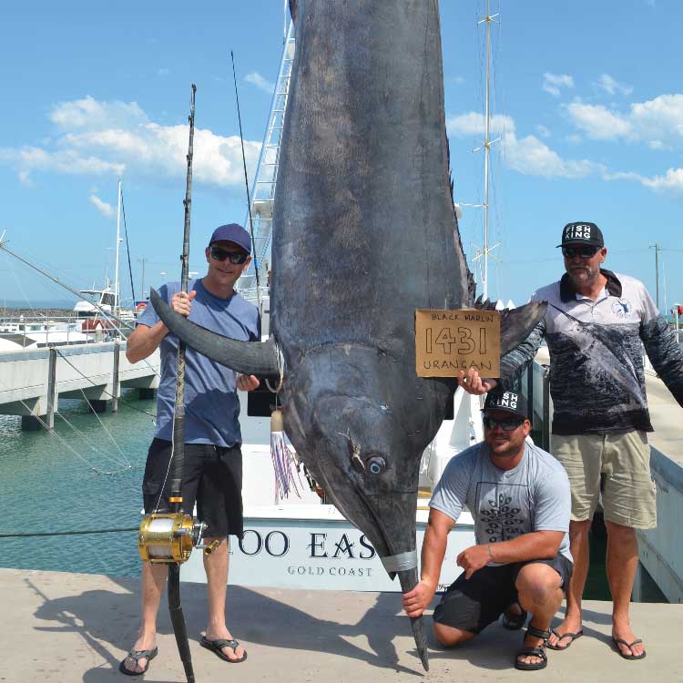 Three anglers standing in front of a large black marlin.