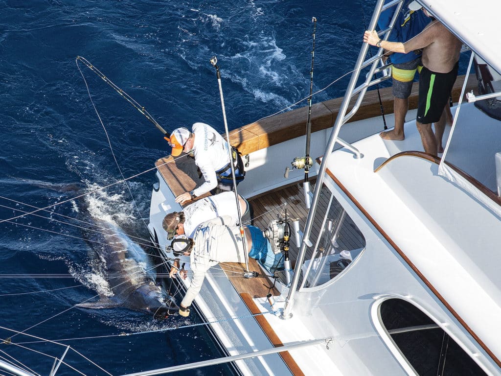 A crew pulls a marlin boat side.