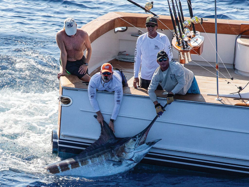 A crew pulls a blue marlin boatside.