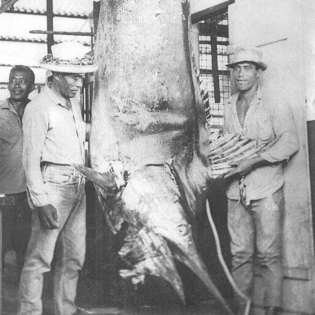 A black and white image of Tahitians standing beside a record blue marlin.