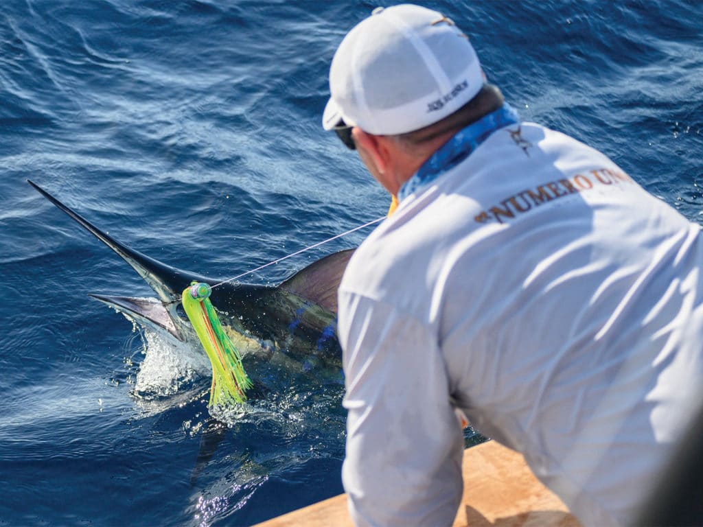 A sport-fishing angler pulls a large marlin boatside.