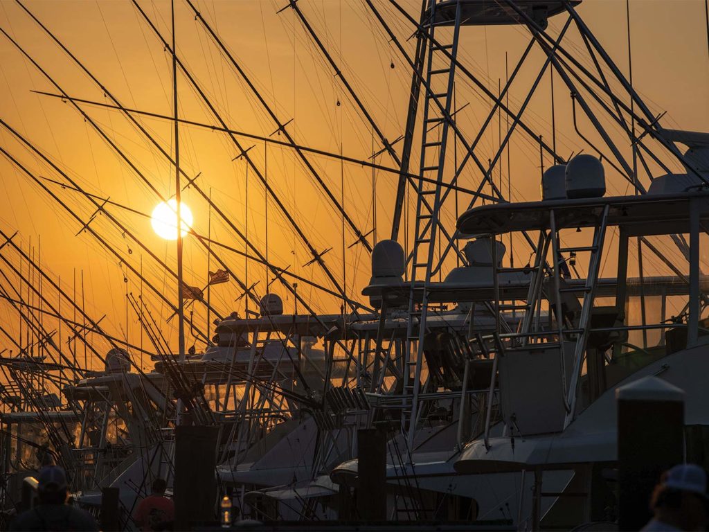 Silhouettes of sport-fishing boats with the sunset in the background.