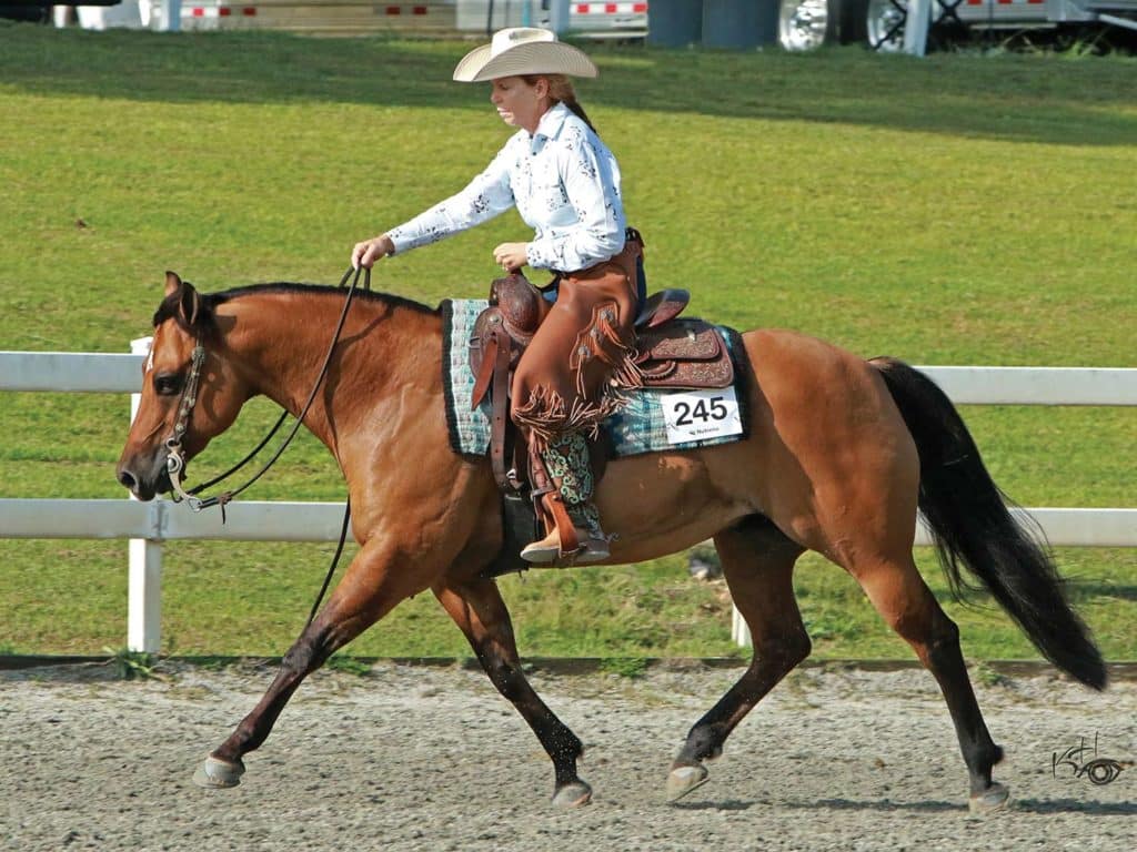 A woman riding on a horse.