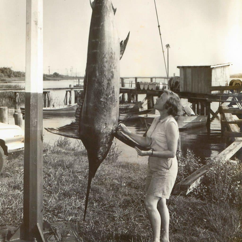An angler standing next to a large blue marlin.