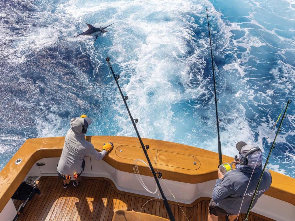 A sport fishing team reeling in a large marlin.