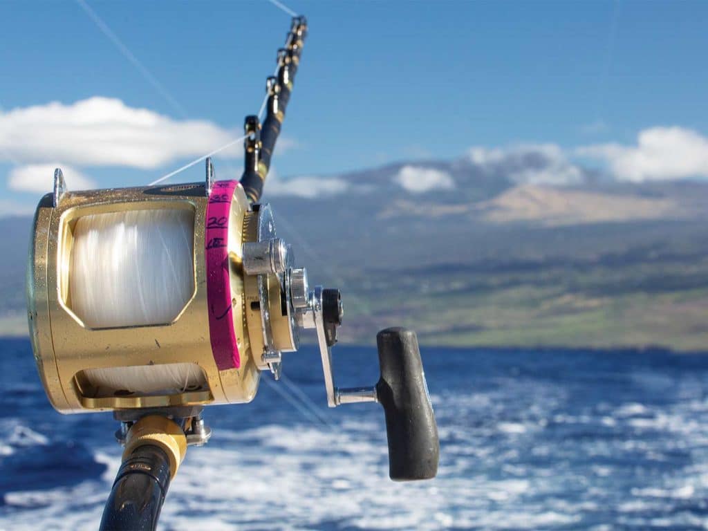 A fishing reel closeup with a scenic horizon in the background.