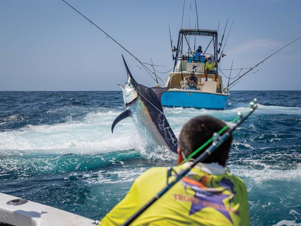 An action shot of a crew observing a fishing team fighting a large black marlin that is jumping out of the ocean on the leader.