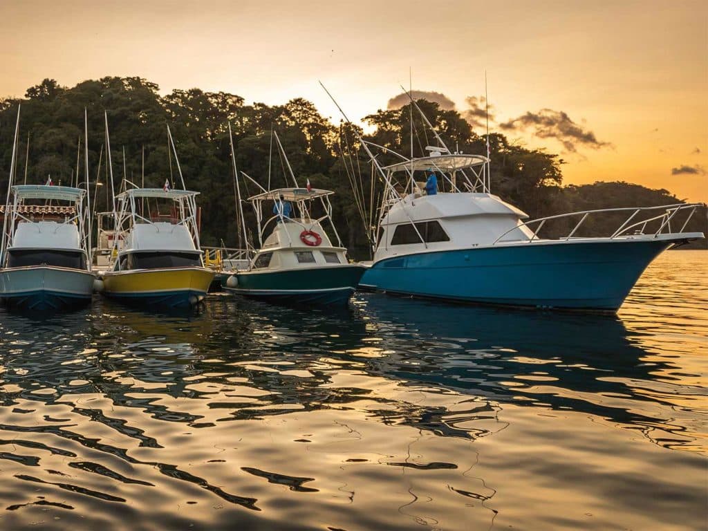A fleet of sport-fishing boats is docked in a marina at sunset.