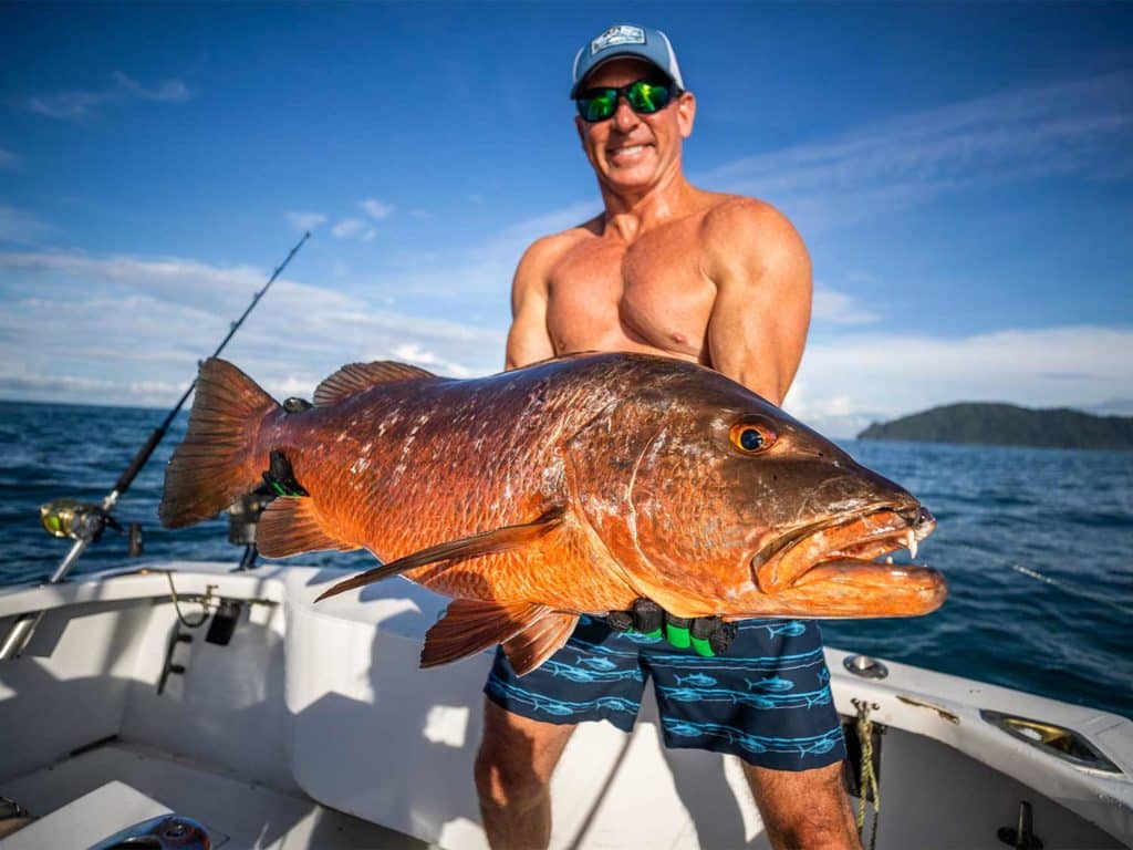 A sport-fishing angler holds up a large fish.