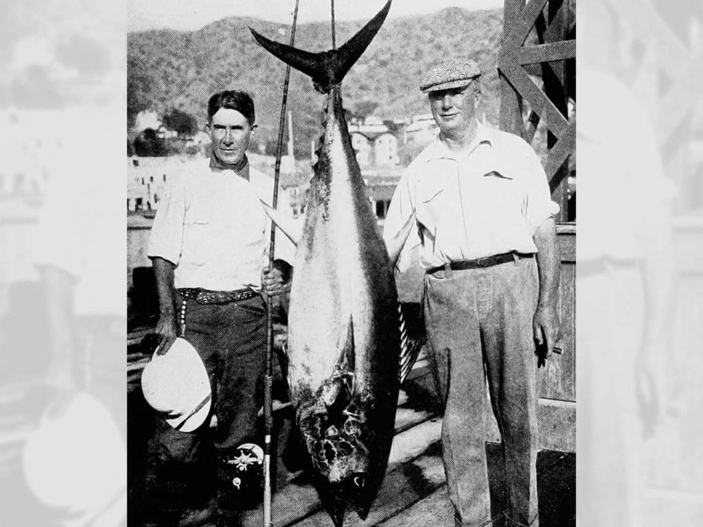 A black and white photograph of two men standing next to a large tuna.