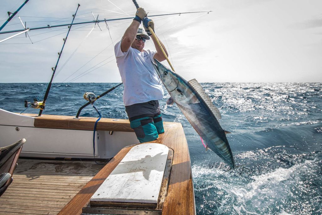 An angler pulling a large wahoo fish onboard.
