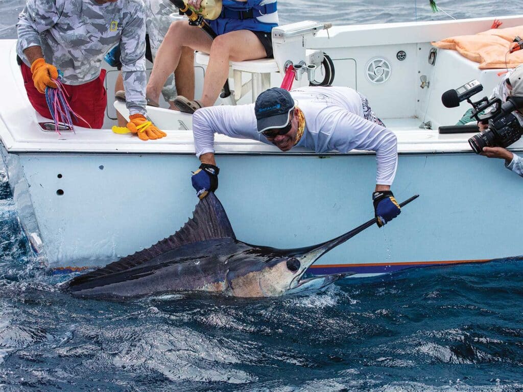 A crewmate releases a blue marlin boatside.
