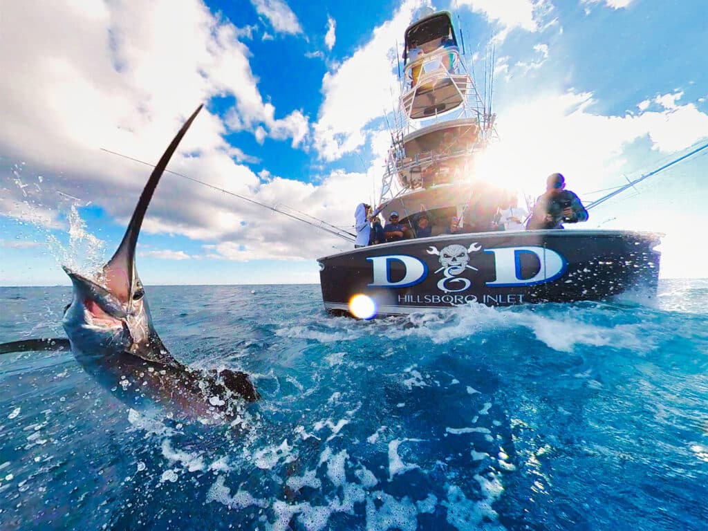 A billfish jumps out of the water near the transom of a sport-fishing boat.