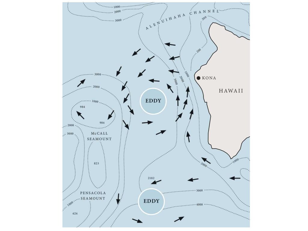 A digital rendering of rotating eddys near the Kona Hawaii coastline, showing favorable water rotations