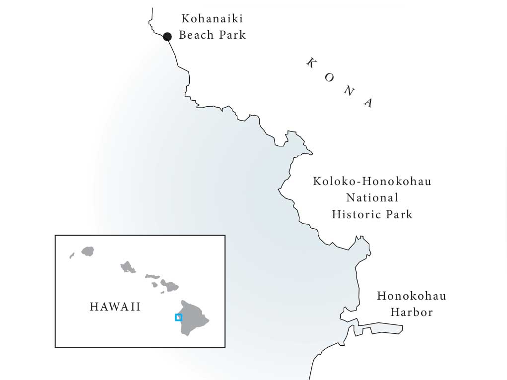 A digital rendering of the coastline of Kona, Hawaii