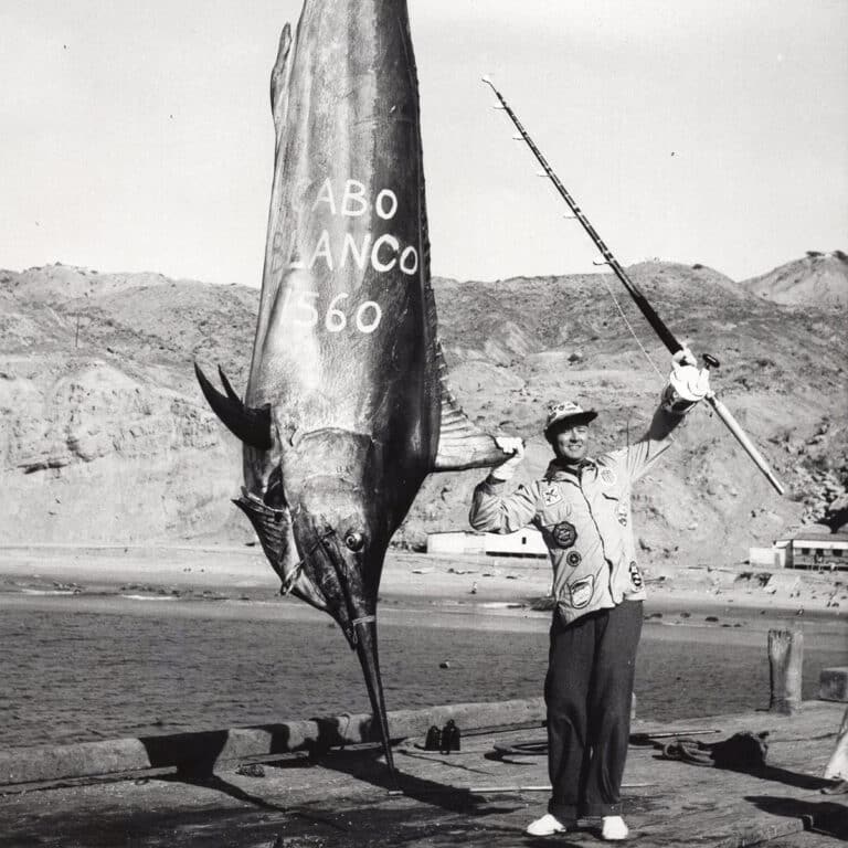 Where Are the Big Marlin | Marlin