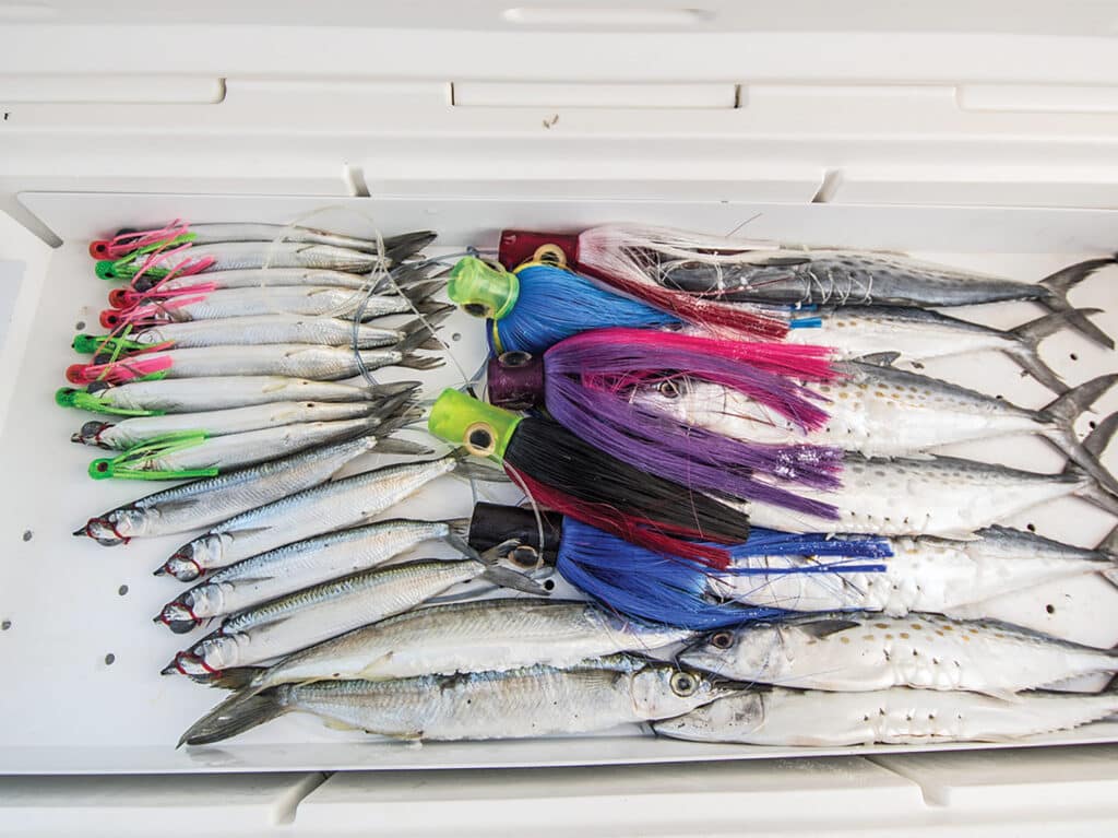A lineup of ballyhoo and mackerel baits in a bait box.