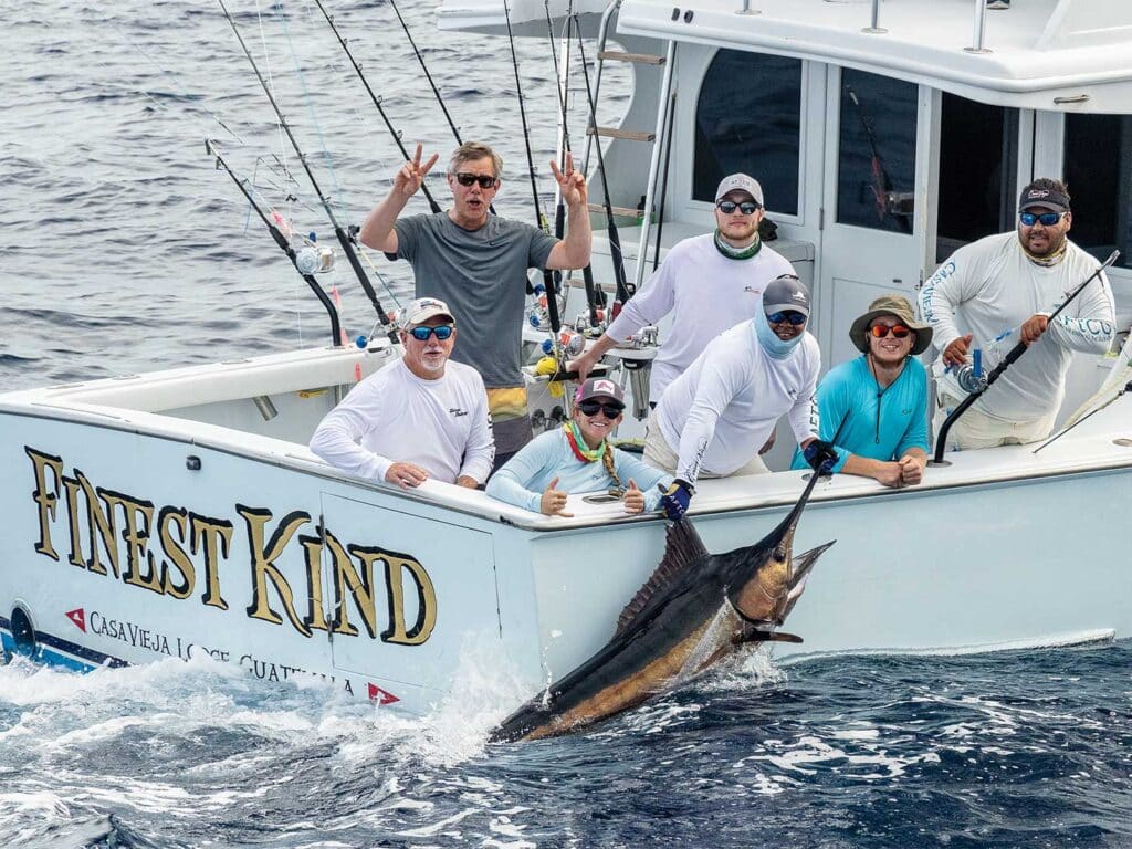 A sport-fishing team pulling a large marlin boatside during a Marlin Expeditions venture.