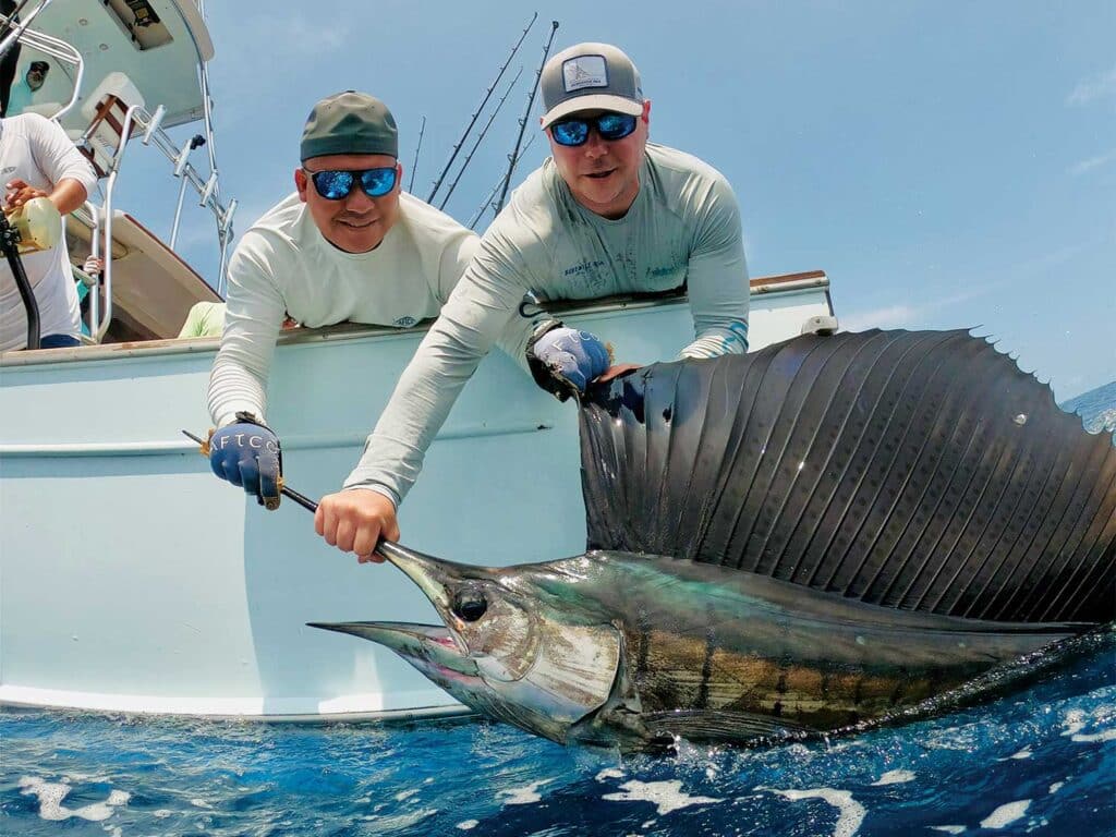 Two anglers pull a large sailfish boatside during a Marlin Expeditions venture.
