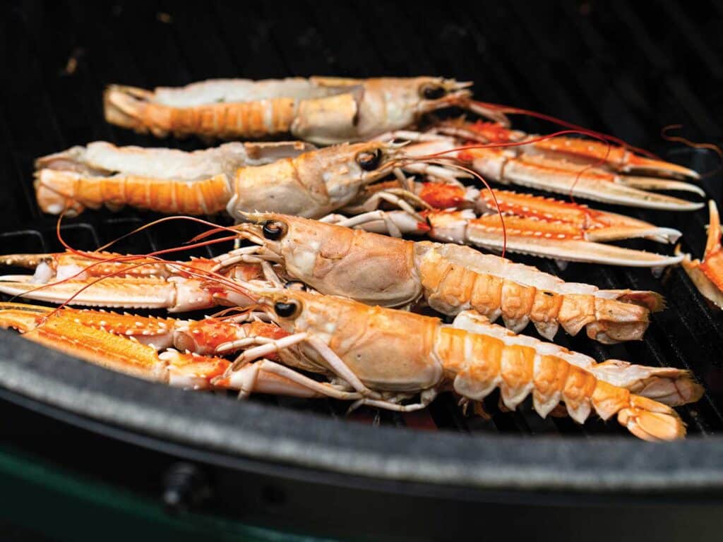 An arrangement of Langoustines on a Big Green Egg grill rack.