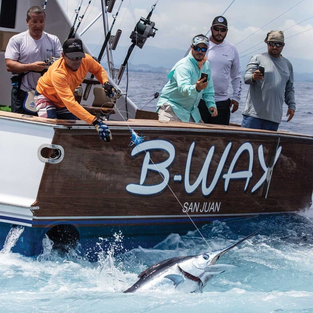 A sport-fishing team pulls a large blue marlin boatside.