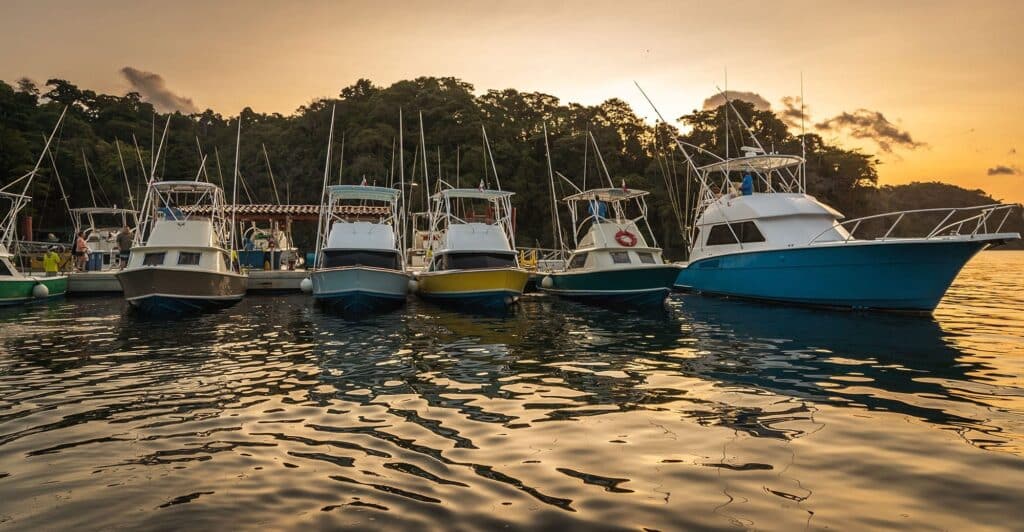 A fleet of sport-fishing boats docked at the marina at sunrise