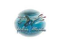 Beach Haven White Marlin Tournament
