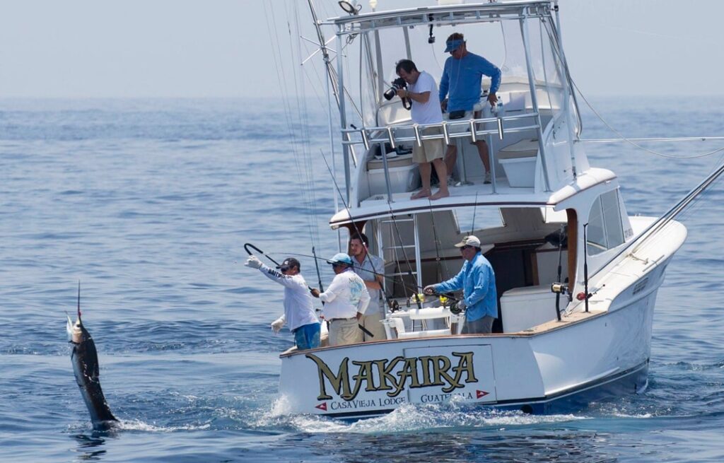 The 37-foot Makaira is a truly exceptional example of the Rybovich day boat, the company that invented the modern day sportfisherman. She is one of Casa Vieja Lodge’s most requested boats. She has held the record for most billfish caught in a single season for two years.