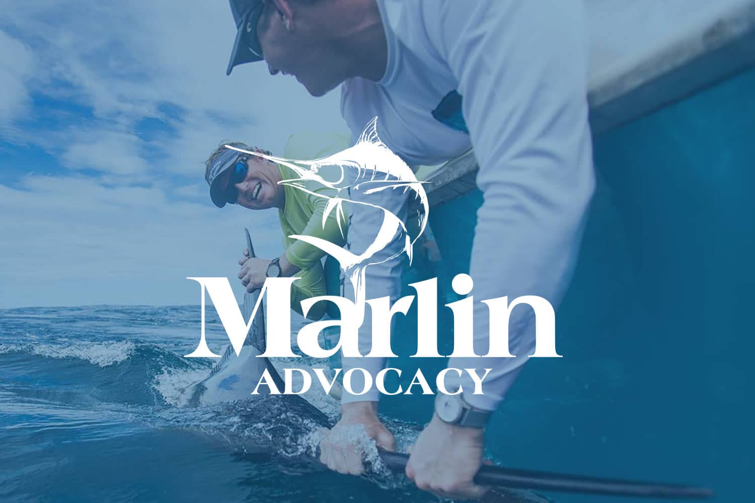 Marlin Advocacy logo in white overlaid a blue-filter image of two anglers pulling a marlin boatside.
