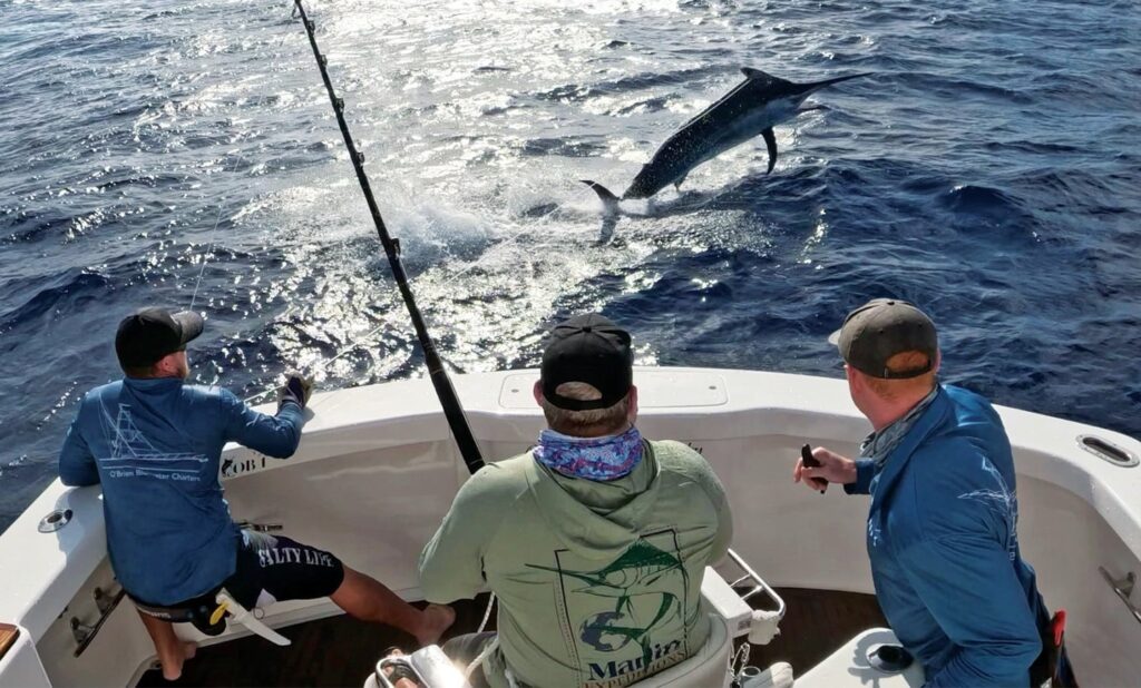 An angler and crew reel a large black marlin boatside.