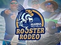 Rooster Rodeo