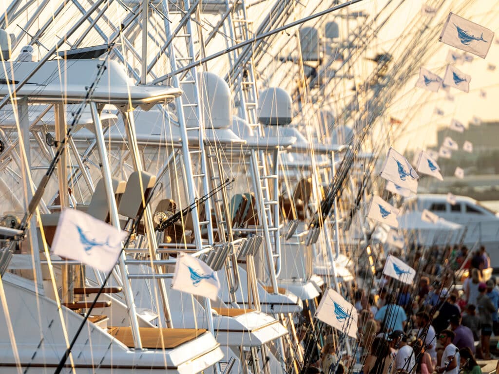Boats with release flags flying from their rigging docked in a marina.