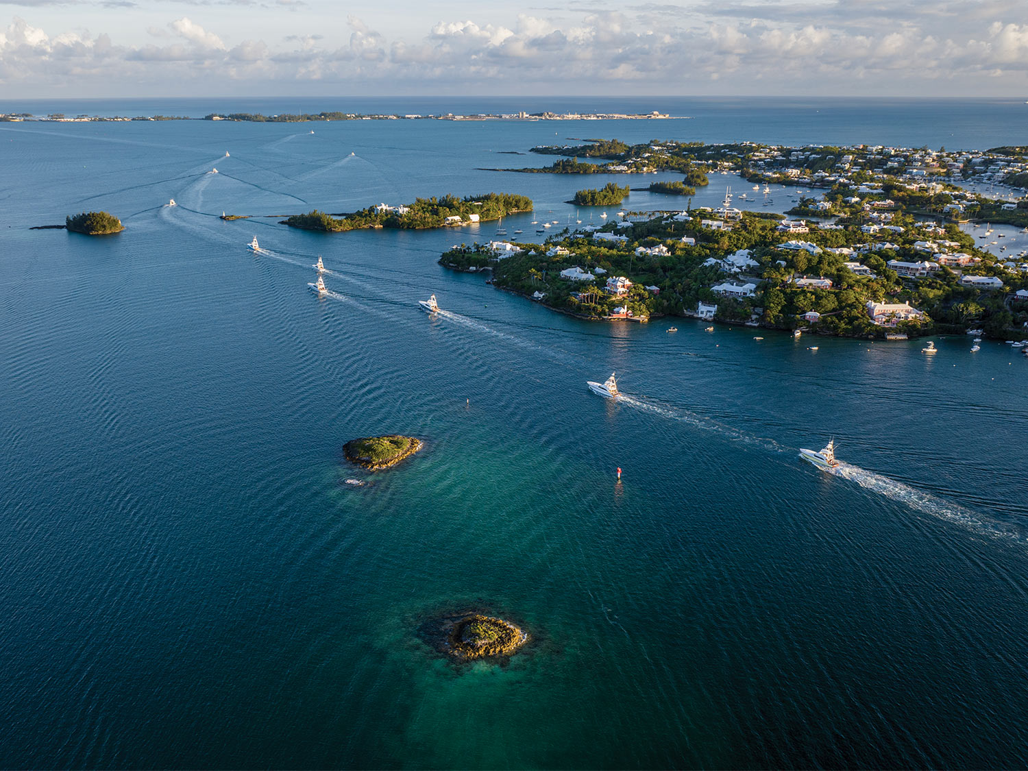 Celebrating 20 Years of the Bermuda Triple Crown Marlin