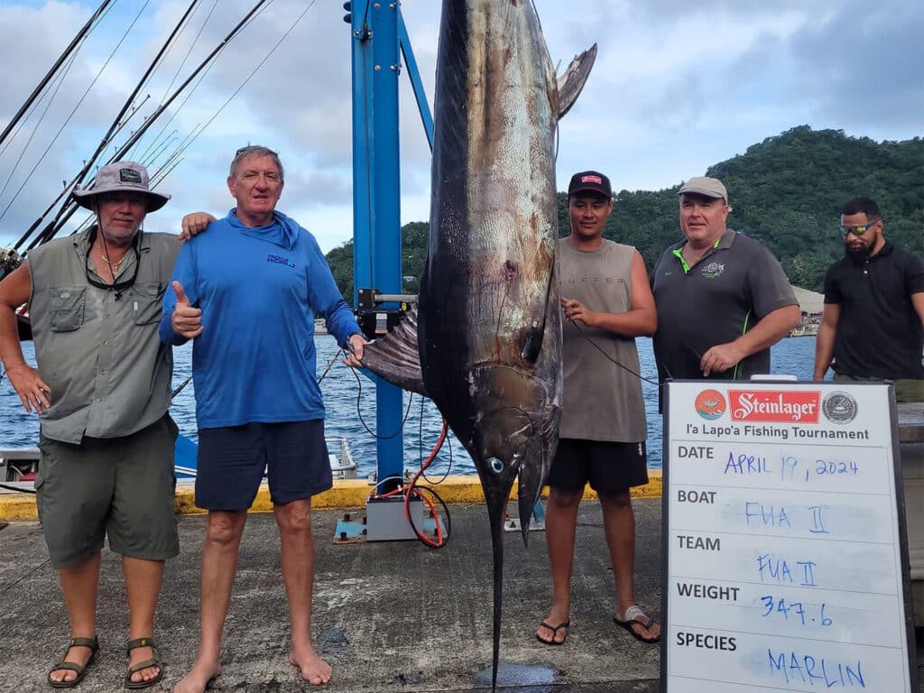 Anglers standing around a large marlin being weighed.
